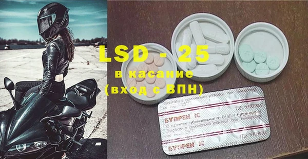 хмурый Новозыбков