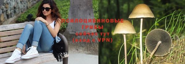 хмурый Белоозёрский