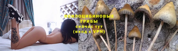 синтетический гашиш Нефтегорск